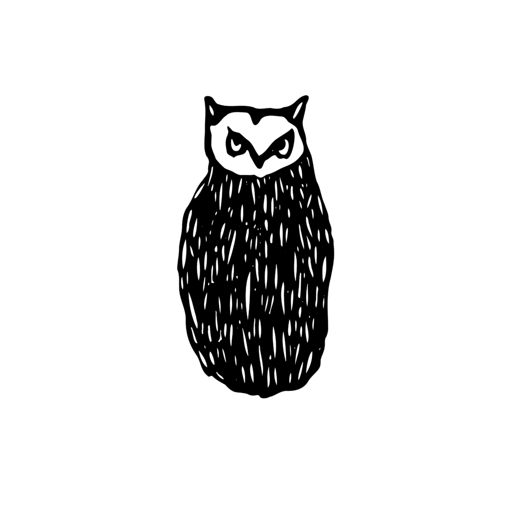Black and white illustration of an owl.