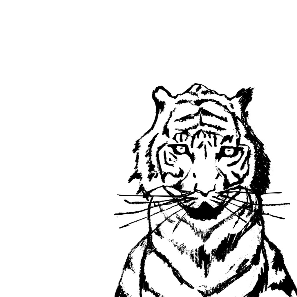 An illustration of a tiger.