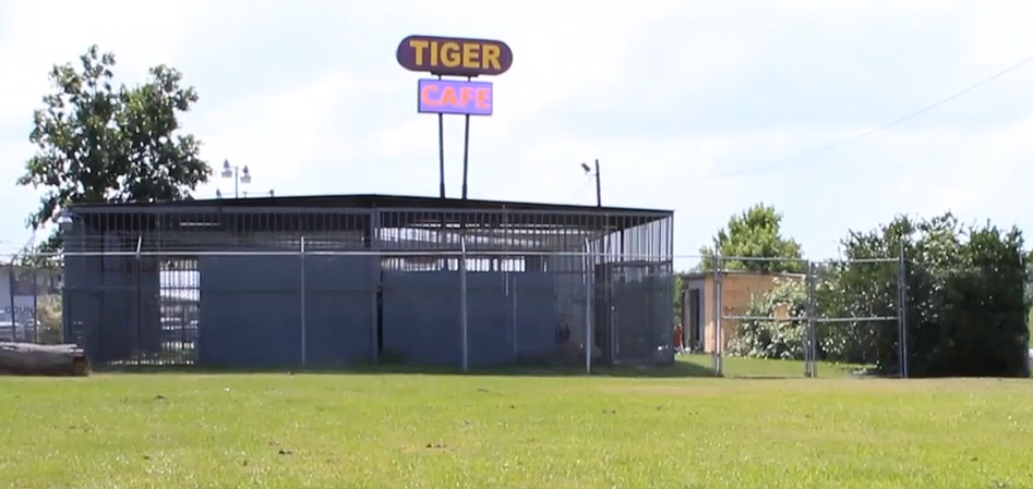 Tony's cage, with a sign advertising: TIGER, CAFE.