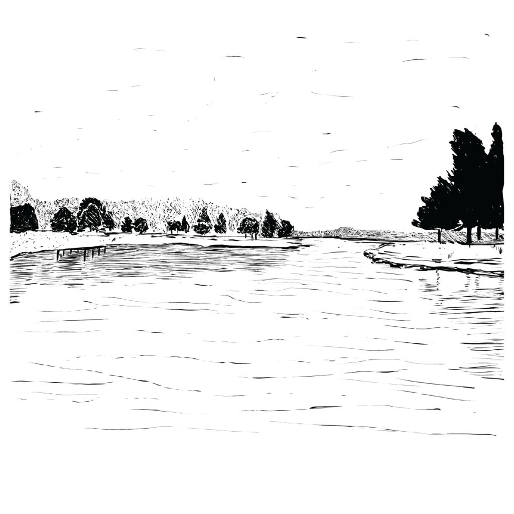 An illustration of a lake, with trees on the shore.