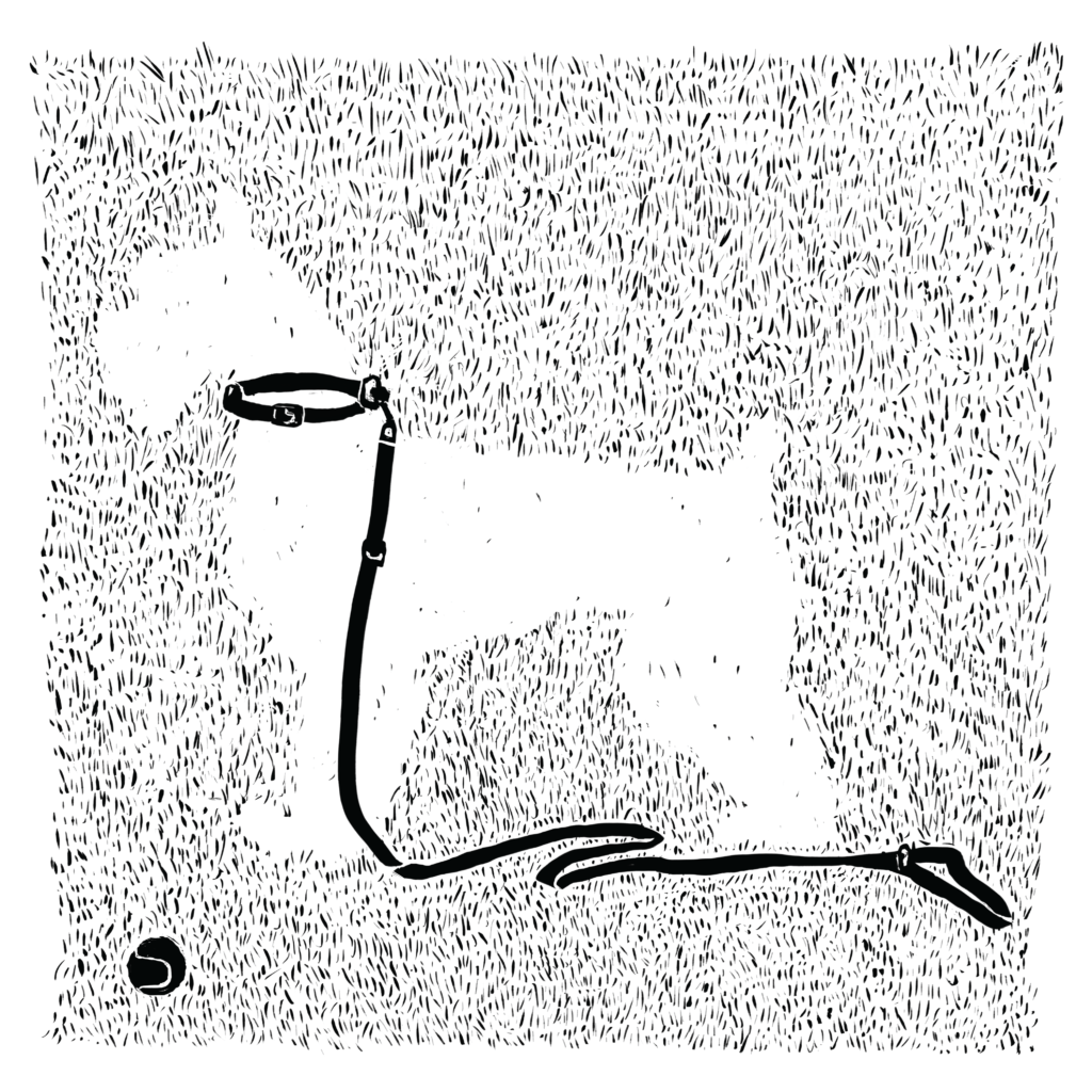 A negative-space illustration of a dog with a tennis ball next to it on the ground, and a collar and leash around its neck.