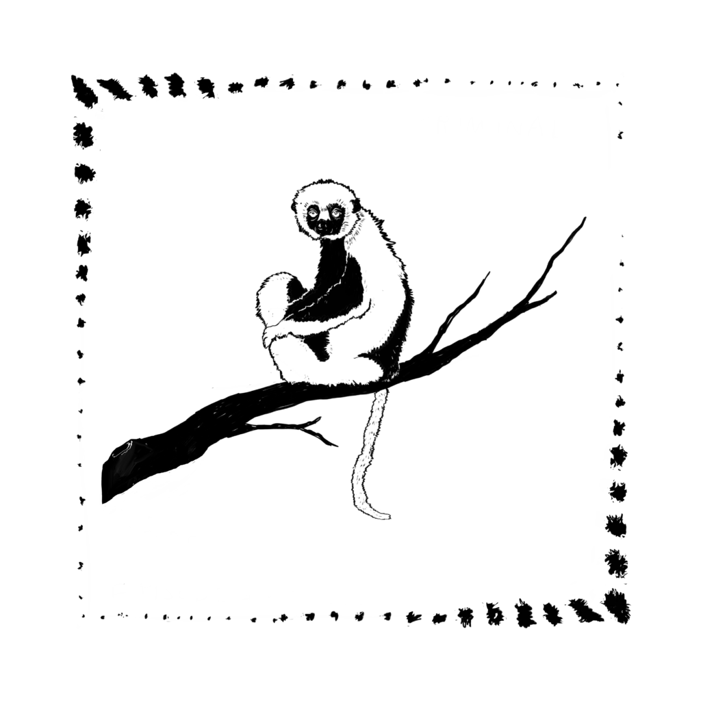 An illustration of a lemur on a branch.