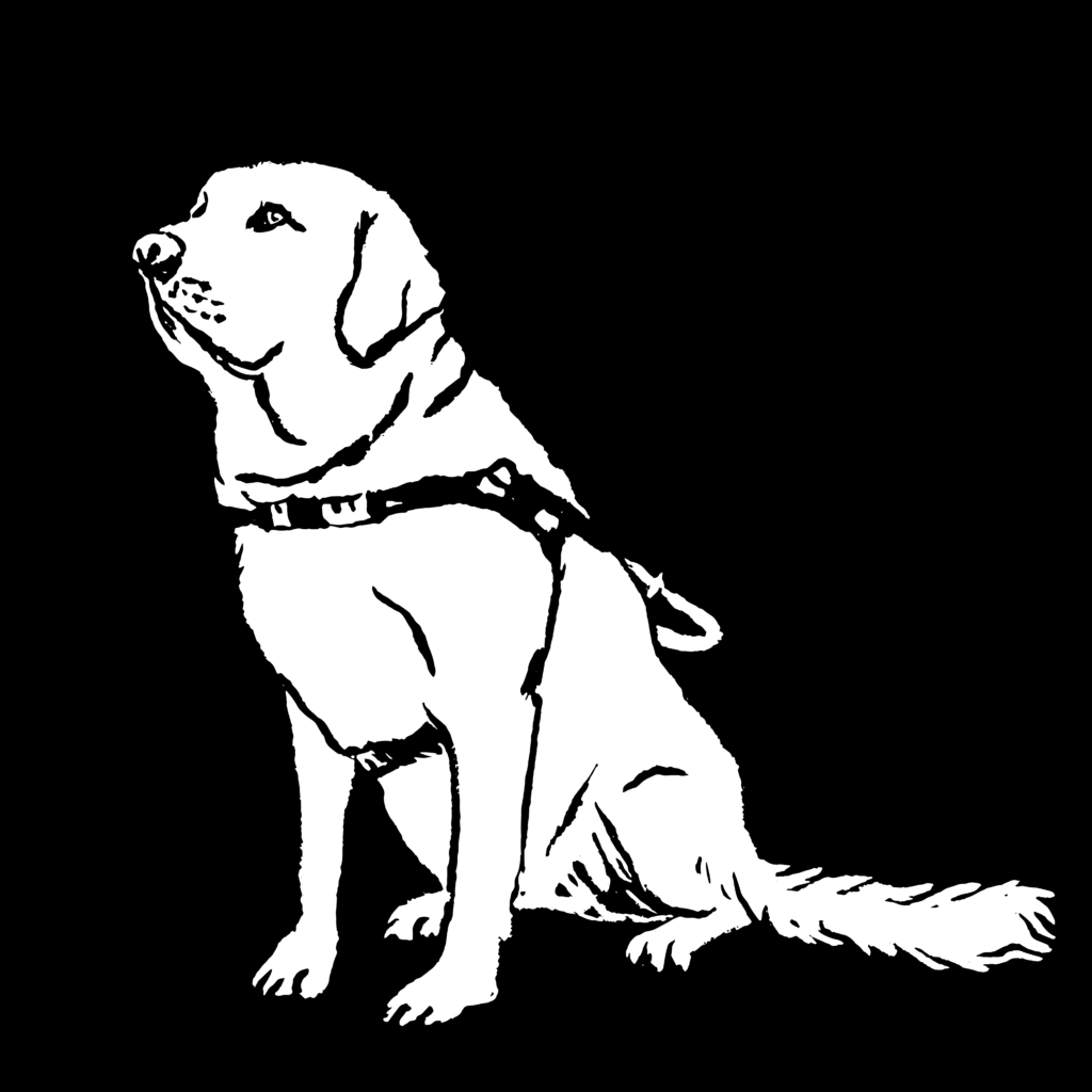 A black and white sketch of a white dog against a black background, wearing a service dog harness, and sitting.