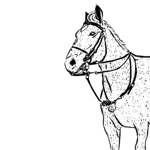 Black and white illustration of a horse looking to the left.