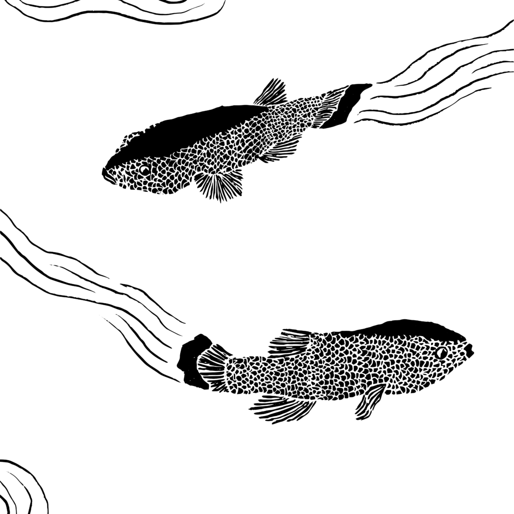 Black and white illustration of two fish swimming in opposite directions.