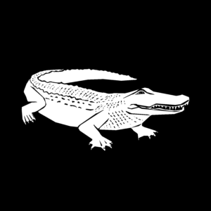 A black and white illustration of an alligator