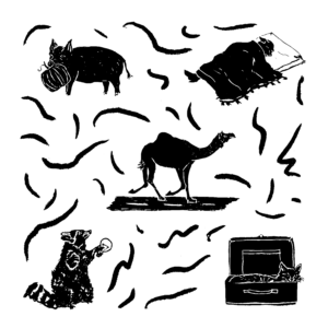 In black and white: illustrations of a pig carrying a pumpkin, a dog in a bed, a camel on the loose, a raccoon holding a lightbulb and a cat in a suitcase.