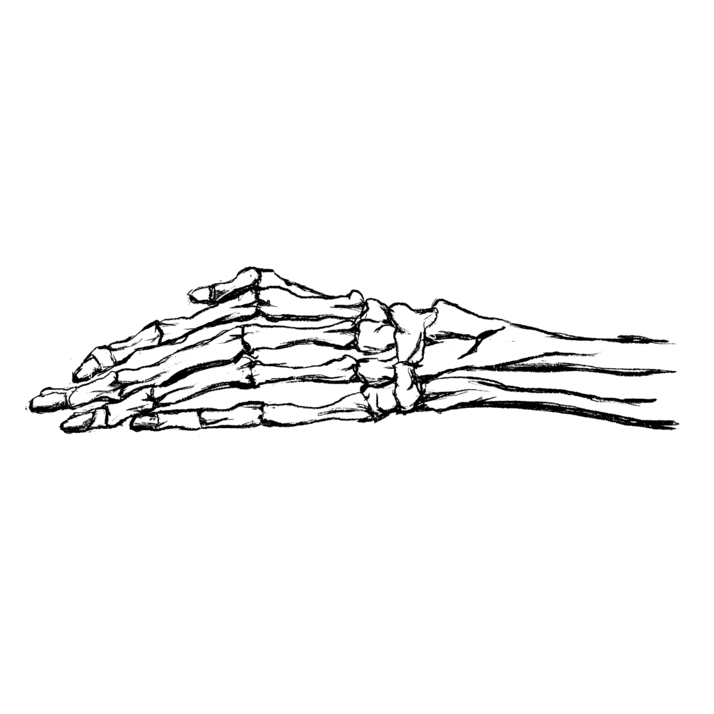 A black and white illustration of a hand, with bone and fingernails.