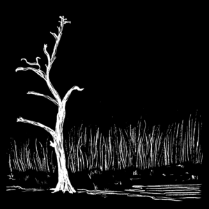 A black and white illustration of a white crabapple tree on a black background. The tree is bare, missing its leaves and many of its branches.