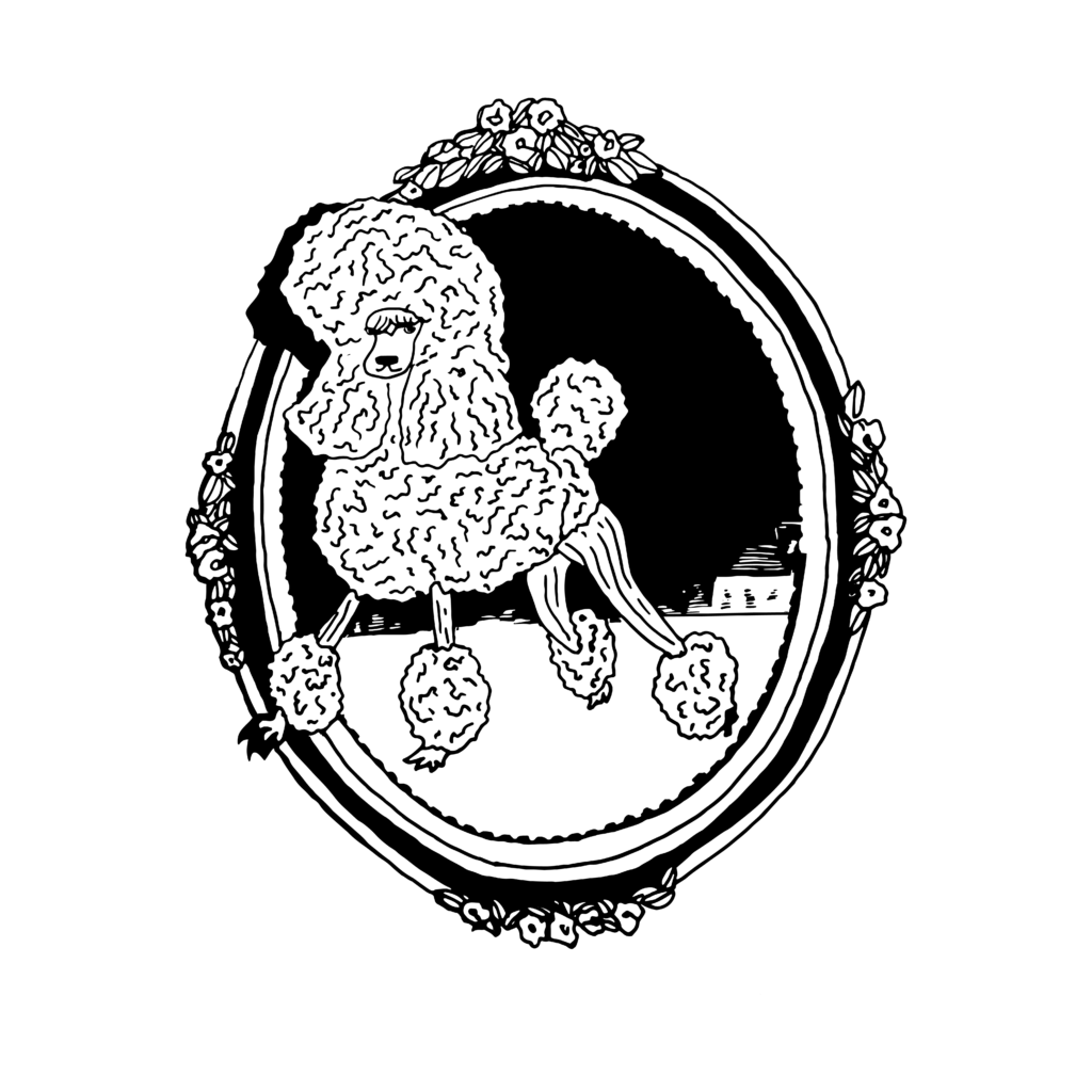 Black and white illustration of a poodle with a poofy haircut standing inside of an ornate picture frame.