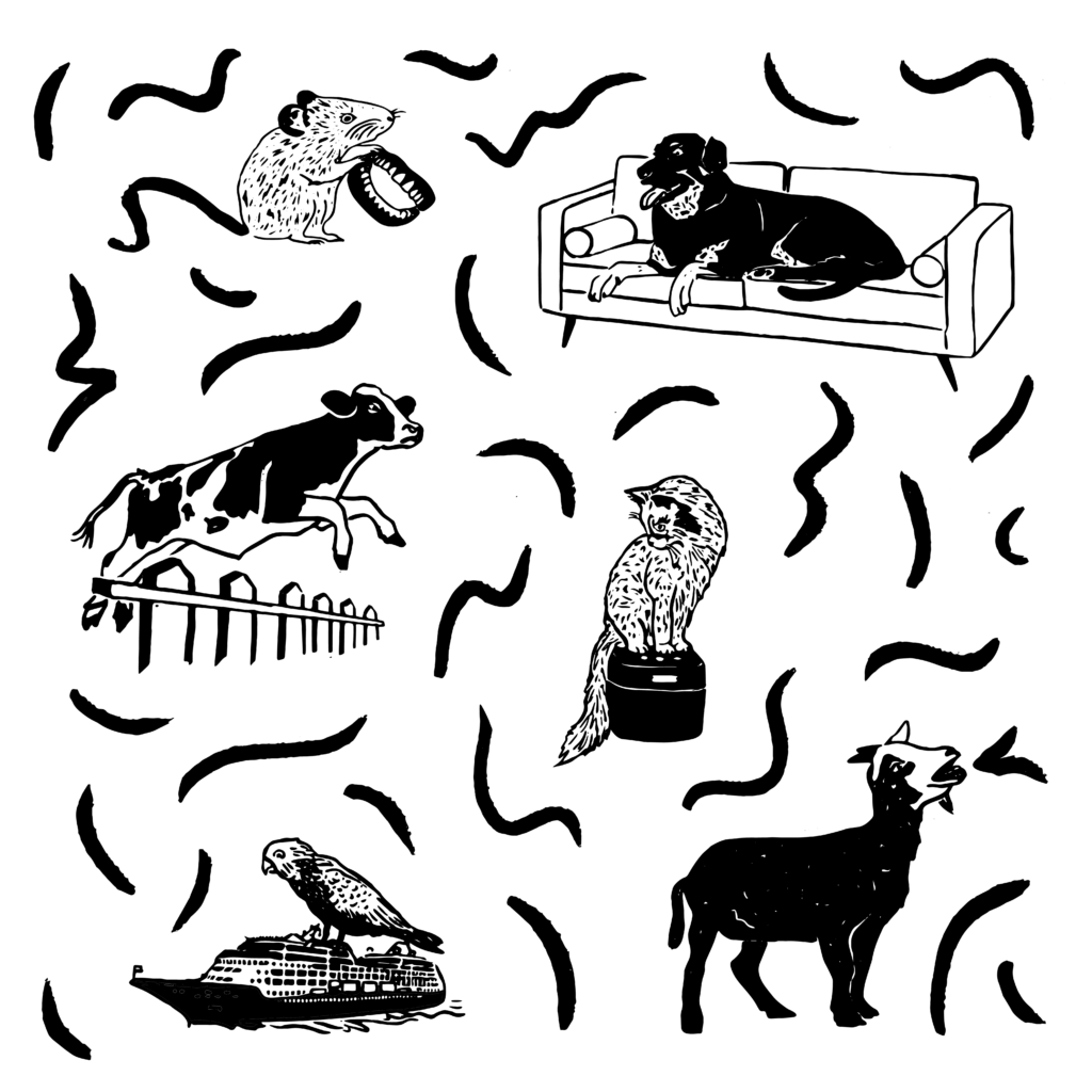 Black and white illustration with six different animals: a mouse holding dentures, a dog on a sofa, a cow jumping over a fence, a cat sitting on a rice cooker, a bird sitting on a cruise ship, and a goat screaming. Text reads: Episode 249: The Gargoyle Cat, the Taylor Swift Goat, and the Runaway Cow.