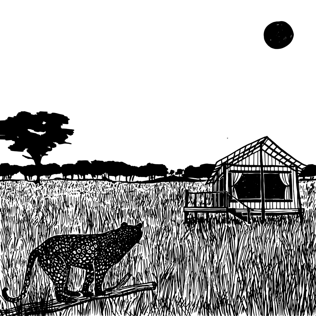 A black and white illustration of a grassland with a tree and a small cabin in the distance. There is a leopard standing in the grass, looking toward the cabin.