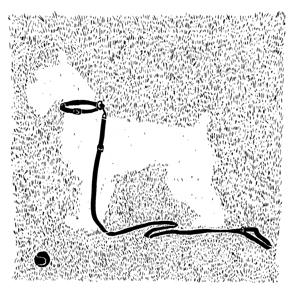 Black and white illustration of the outline of a dog against what looks like abstract grass. The outline of the dog is white, so it's as if the dog disappeared and now there's just a space where the dog was. There's a leash around the invisible dog's neck, and a ball at its feet.