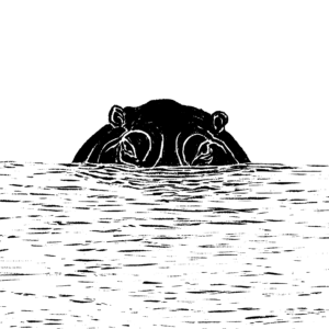 Black and white illustration of a hippo, half submerged in water with its ears and eyes visible, looking directly at the viewer.