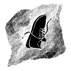 A black and white illustration of a rock face with a single sneaker laying on it.