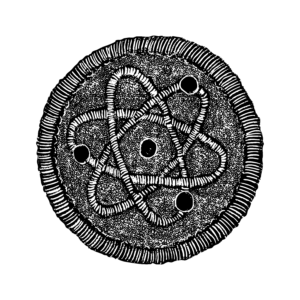 Black and white illustration of the Boy Scout Atomic Energy merit badge, which is a fabric patch with an illustration of an atom in the center.