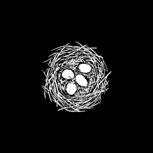 Black and white drawing of a bird’s nest made mostly with twigs seen from above with four eggs inside.