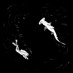 Black and white illustration of a hammerhead shark and a scuba diver swimming in the ocean.