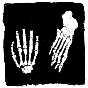 Black and white illustration of the bones of a hand and a foot