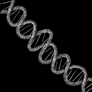 Abstract black and white drawing of a DNA double helix.