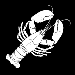 Sketch of a white lobster, against a black background.